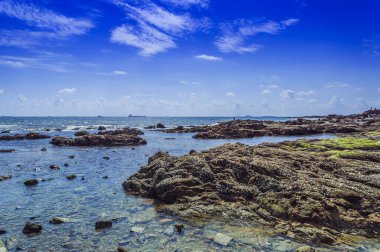 Okyanustaki tropik ada