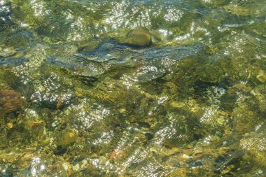 Okyanustaki tropik ada