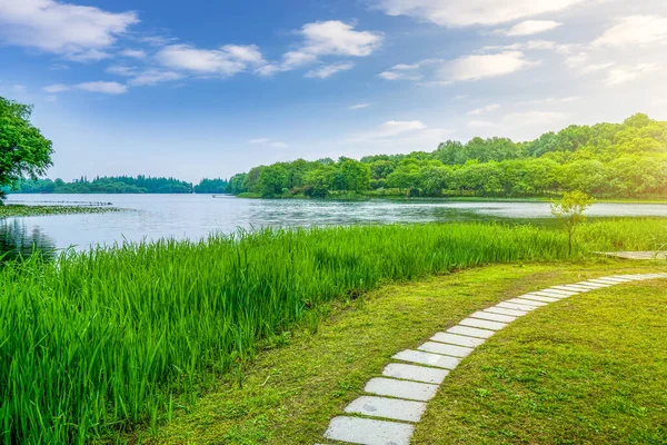 Green Scenery China — Stock Photo, Image