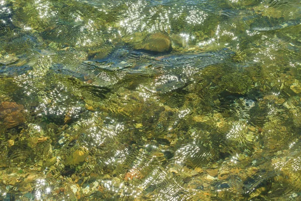 Okyanustaki tropik ada