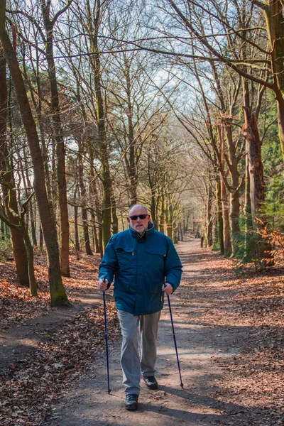 Пенсионер на нордической прогулке по лесу — стоковое фото