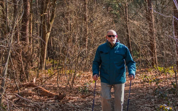 senior at the nordic walking in landscape of autumn forest