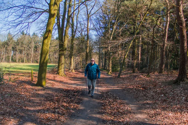 Senior at the nordic walking in landscape of autumn forest