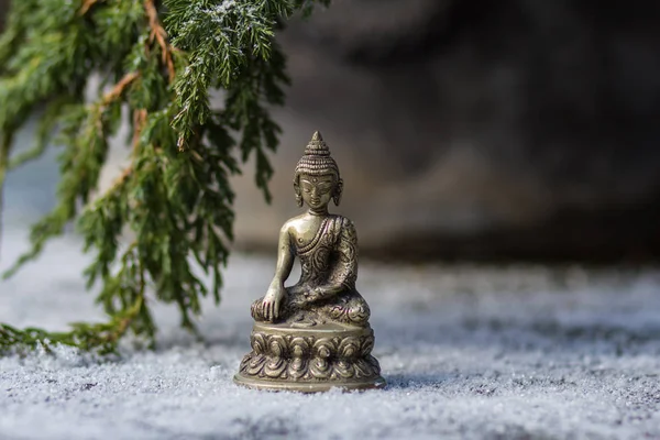 Buddha och gren av fir-träd i snön — Stockfoto