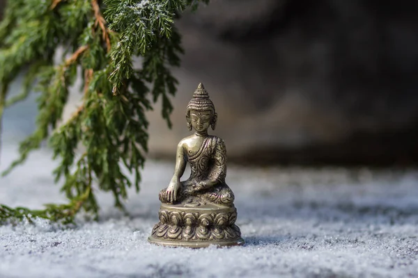 Buddha ve kar köknar ağacının dalını