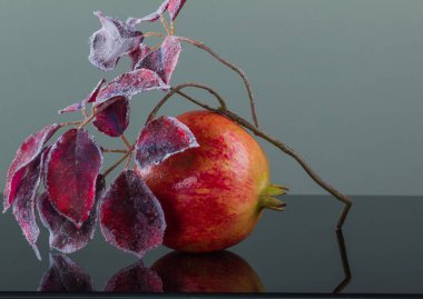 Nar ve şube chokeberry karda