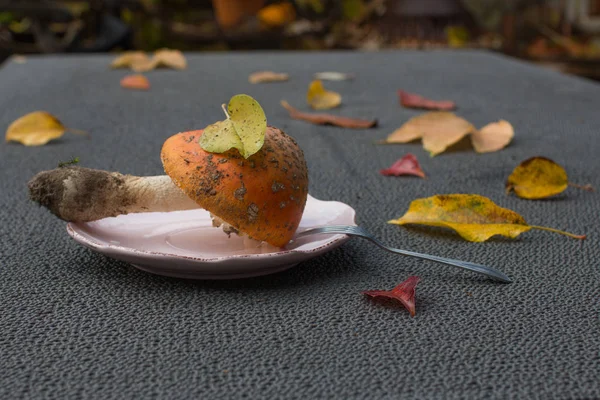 Agradable amanita en la mesa —  Fotos de Stock