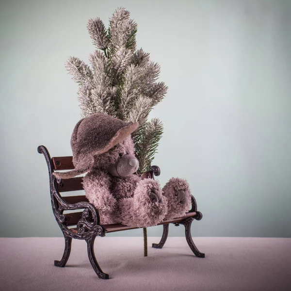 Teddy urso sentado sozinho no banco com um boné de inverno — Fotografia de Stock