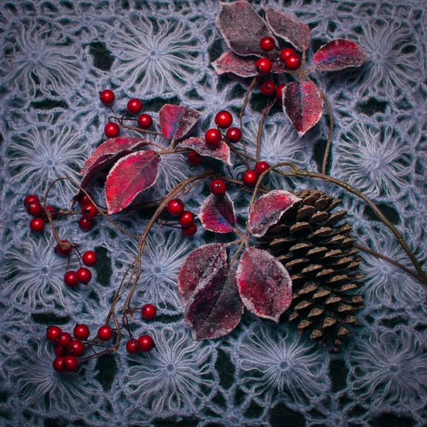 Téli összetétele, piros bogyós gyümölcsök, fenyő kúp és a gyapjú textil — Stock Fotó