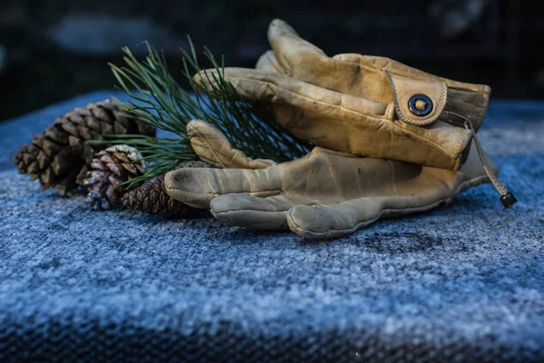 Männer-Lederhandschuhe und Kiefernzweig im Raureif — Stockfoto