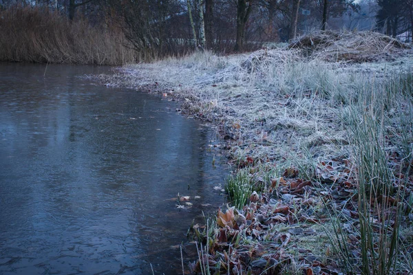 겨울 풍경입니다. 겨울에 연못 공원 — 스톡 사진