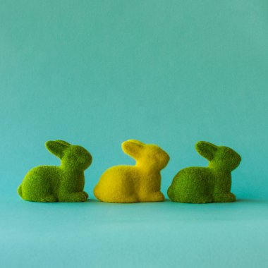 Paskalya kavramı. Turkuaz arka plan üzerinde üç tavşan.