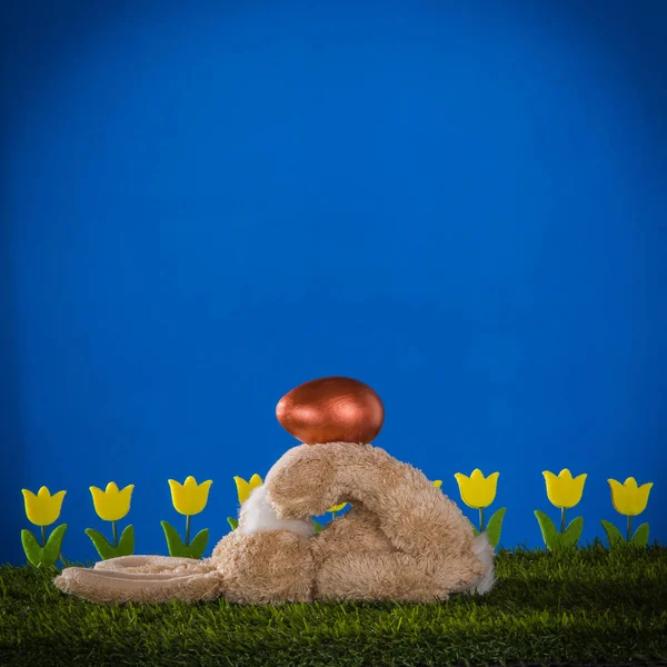 Easter composition with  dexterous, capable, playful rabbit and — Stock Photo, Image