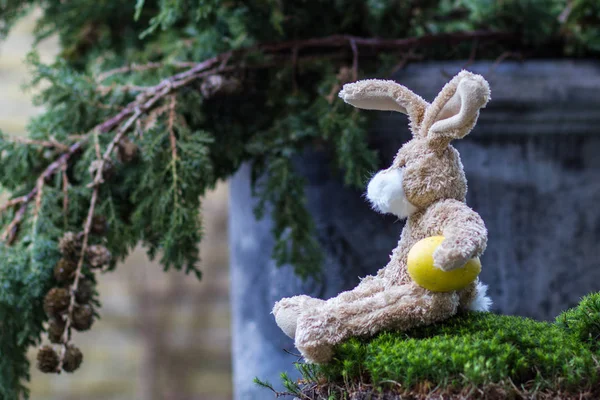 Пасхальная концепция. Забавный кролик с желтым яйцом . — стоковое фото