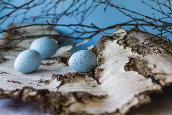 Easter spring fresh composition . with spotted eggs on the birch — Stock Photo, Image