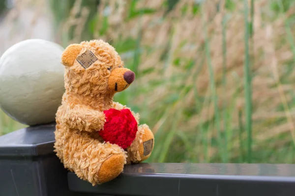 Little teddy bear with heart in the garden — Stock Photo, Image