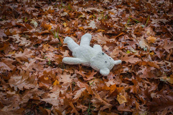 Urso de pelúcia velho fica sozinho no parque nas folhas secas . — Fotografia de Stock