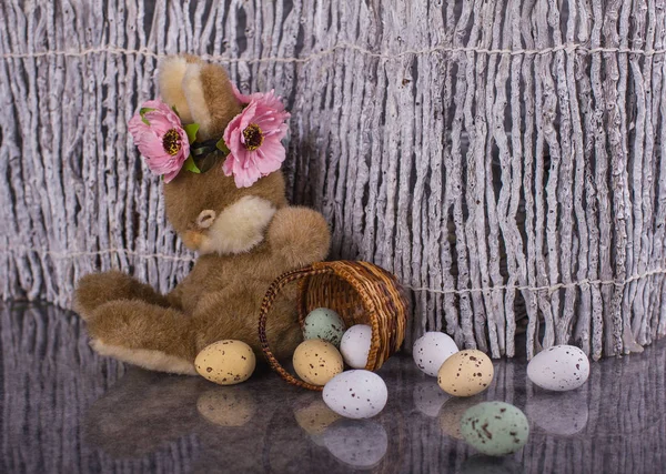 Scena di Pasqua. Piccolo coniglietto con cesto addormentato . — Foto Stock