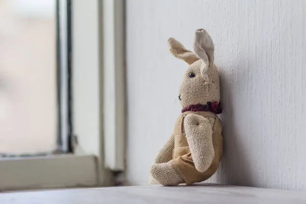Dreamily annoyance alone bunny at window. — Stock Photo, Image