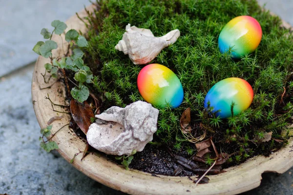 Uova di Pasqua e conchiglie nel muschio — Foto Stock