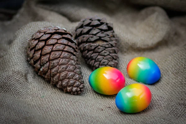 Uova di Pasqua e pigne sullo sfondo di sacco — Foto Stock