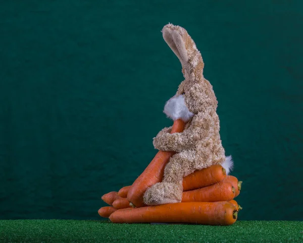 Здоровая пасхальная концепция. Кролик Тедди с удовольствием ест морковь. . — стоковое фото