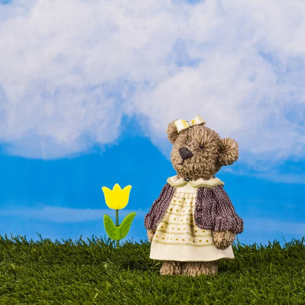 Dreamy bear with tulip on the blue sky background, — Stock Photo, Image