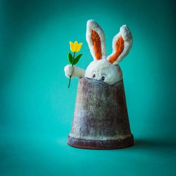 Coelho de pelúcia funky com tulipa amarela — Fotografia de Stock