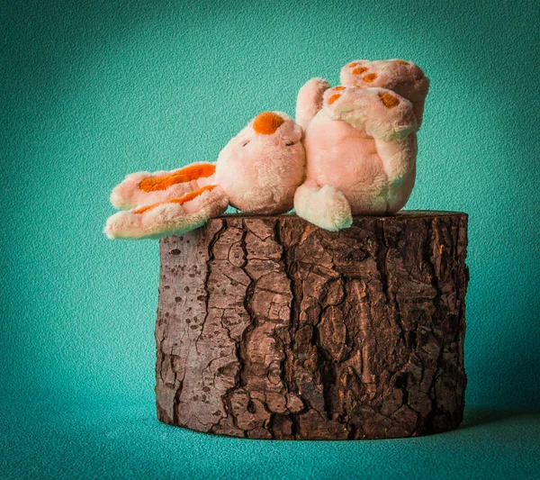 Easter rabbit lies on the tree stump pleased legs up. — Stock Photo, Image
