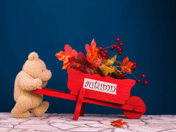Teddy urso conduzir o carro vermelho com um outono folhas . — Fotografia de Stock