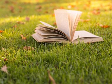 Sonbahar ruh hali. Yeşil çimenlerin üzerinde güneş ışığı altında açık kitap.
