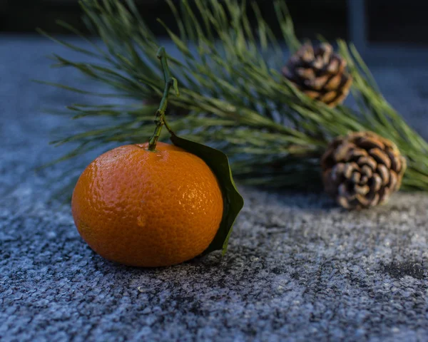 Mandarine aus nächster Nähe im Licht des Winterabends — Stockfoto