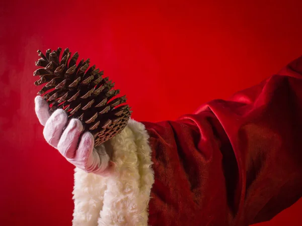 Großer Tannenzapfen in der Hand des Weihnachtsmannes. — Stockfoto