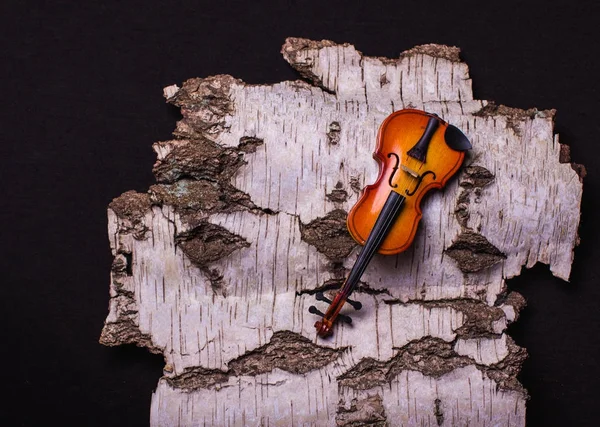 The violin and the birch bark. Rough and tender. With love conce — Stock Photo, Image