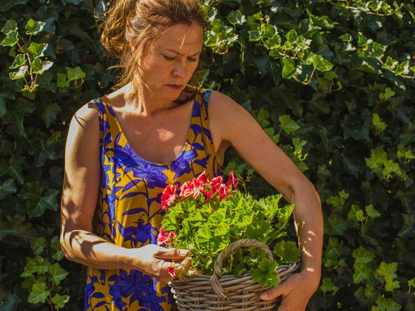 Милая серьезная женщина, стоящая в саду с корзиной красного гриппа — стоковое фото