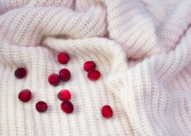 Yumuşak yün beyaz bir kazağın kıvrımlarında kırmızı böğürtlen. Kış 