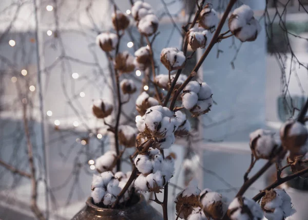 Świąteczne tło z dekoracyjnymi gałęziami bawełny i bokeh l — Zdjęcie stockowe