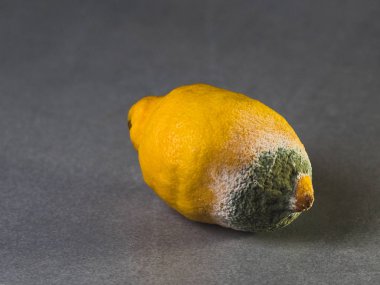 Gri arka planda çürük bir limon.