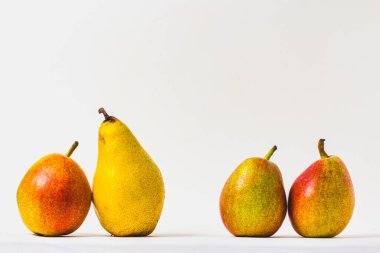 Fotokopi alanı olan beyaz bir zemin üzerinde dört taze armut grubu
