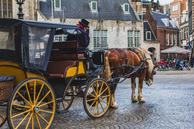 Baraj Meydanı Amsterdam 'da bir şehir meydanıdır. Turistler için geleneksel bir nakliye aracı olarak arabacı taşıyan atlar..
