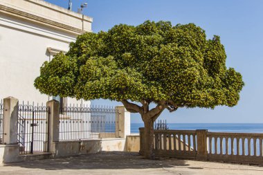 Apulia 'da bahar, Güney İtalya, Adriyatik Denizi.