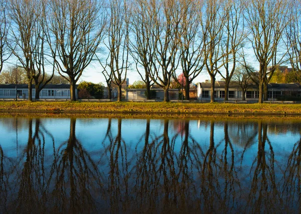 オランダのオスターハウトで水の中の木の反射とWilhelminakanaalのオフィスビル — ストック写真