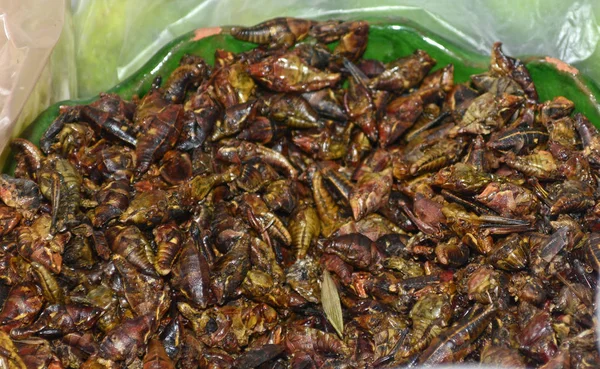 Fried cırcır, Meksika mutfağı