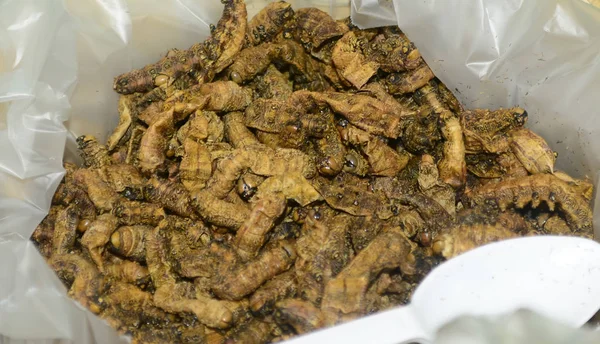 Prehispanic Meksika mutfağı, kızarmış tırtıllar