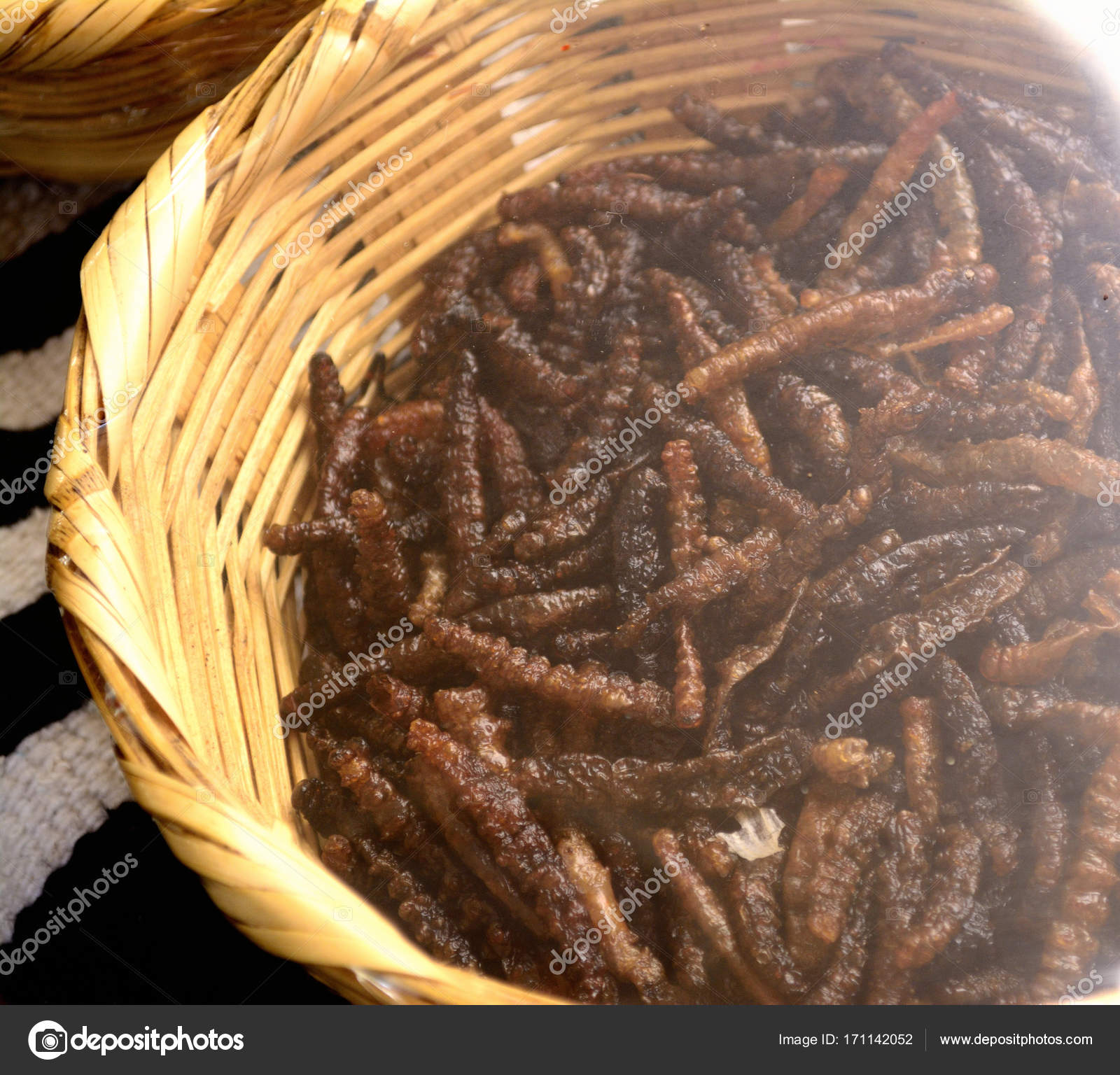 Agave worms at a mexican local market, edible insect form Oaxaca state