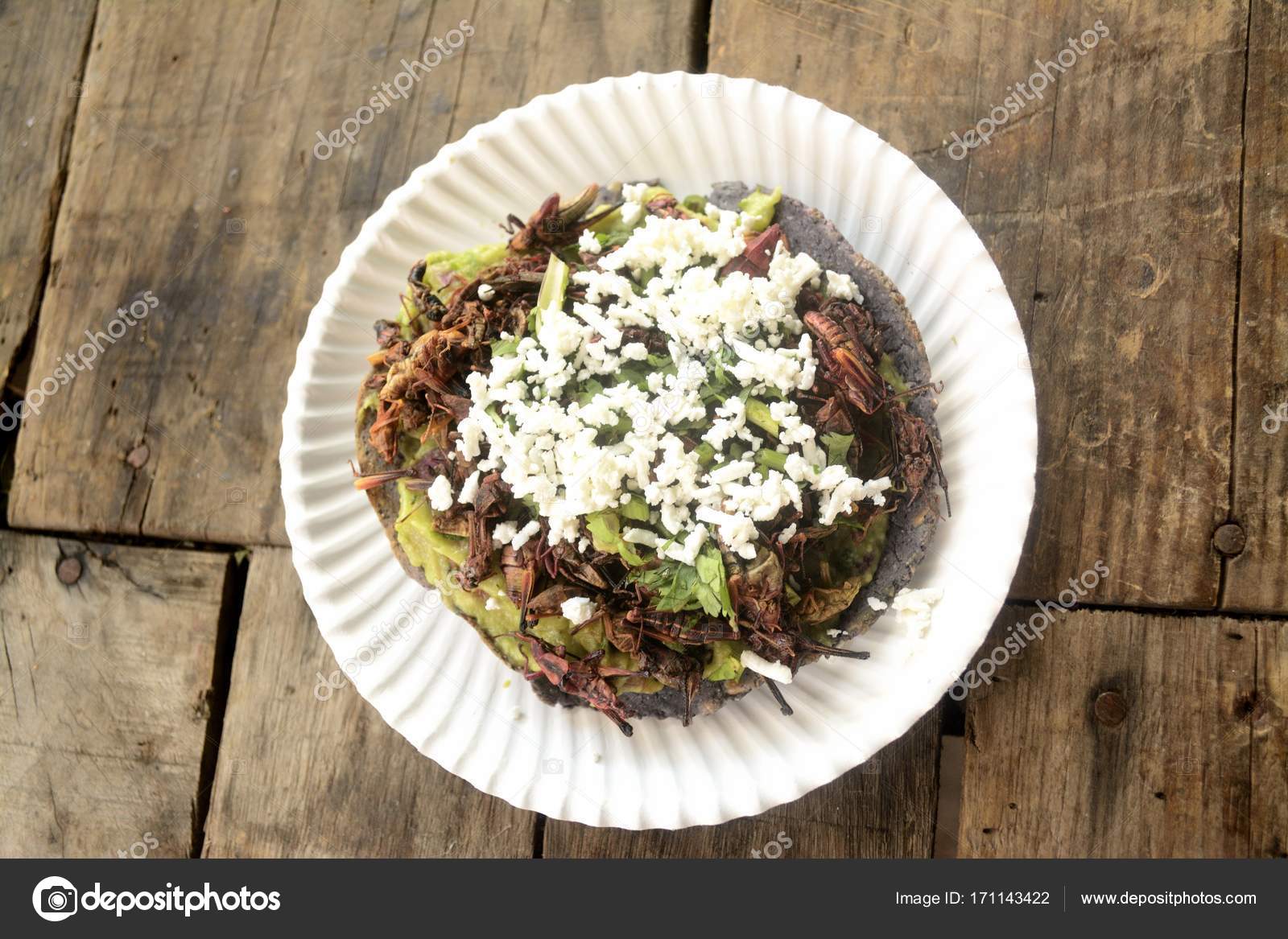 mexican taco, edible insect tortilla toast made with blue