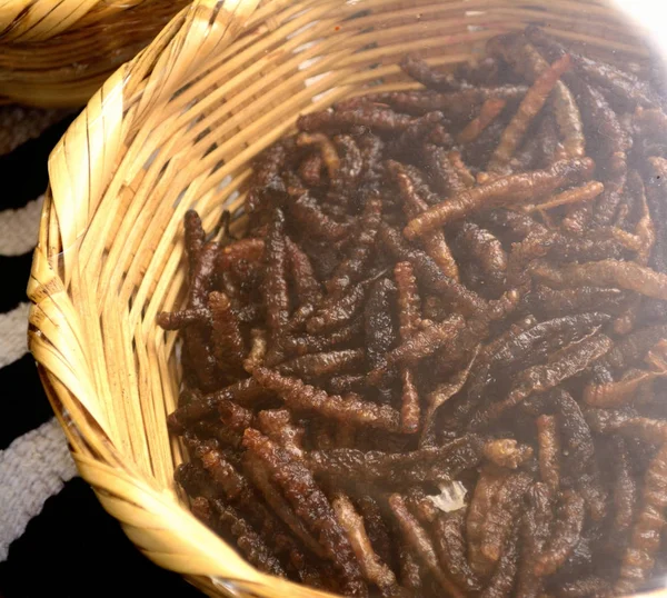 Bir Meksikalı yerel pazarda, yenilebilir böcek formu Meksika Oaxaca Eyalet agav solucanlar