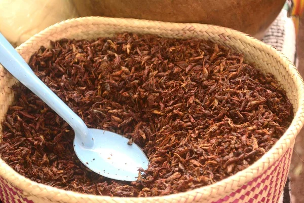 Satılık bir Meksikalı yerel Pazar, lezzetli böcek yiyecek kızarmış çekirge