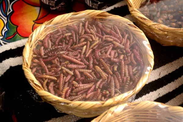 Bir Meksikalı yerel pazarda, yenilebilir böcek formu Meksika Oaxaca Eyalet agav solucanlar