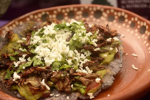 Çekirge Meksika taco, böcek tortilla tost ile mavi Mısır yaptı ve guacamole ile dolu, peynir ve kişniş Meksika'dan Pazar yenilebilir